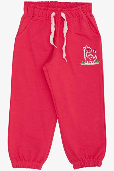 Breeze Kız Çocuk Eşofman