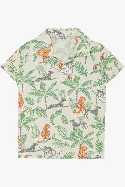 Jack Lions Erkek Çocuk Tişört