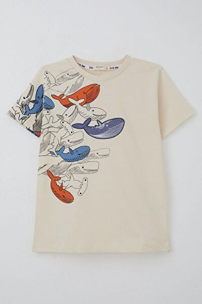 Breeze Erkek Çocuk Tişört