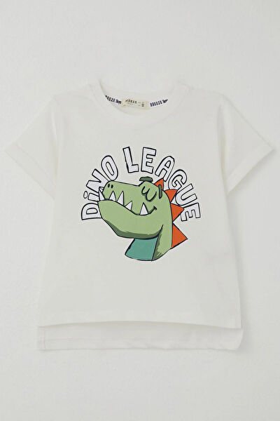 Breeze Erkek Çocuk Tişört