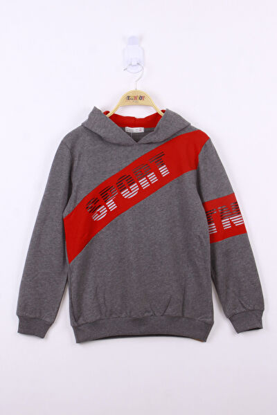 Toontoy Kids Erkek Çocuk Sweatshirt