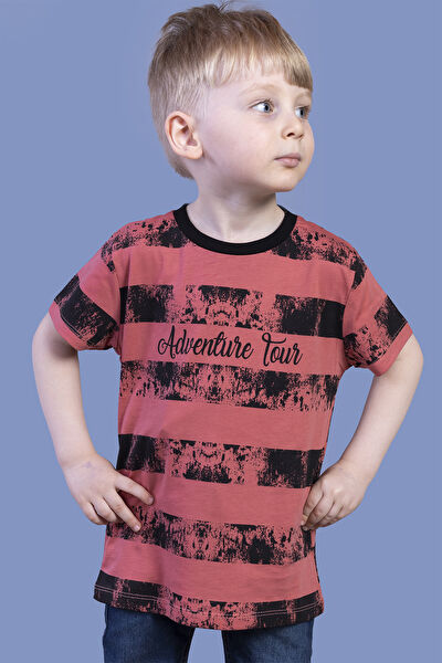 Toontoy Kids Erkek Çocuk Tişört