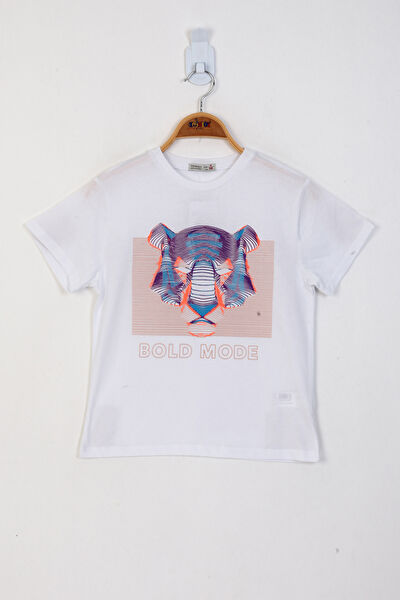 Toontoy Kids Erkek Çocuk Tişört