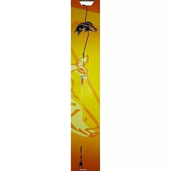 Avcı Market Çapari