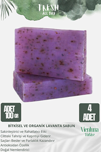 Vienluna Sabun