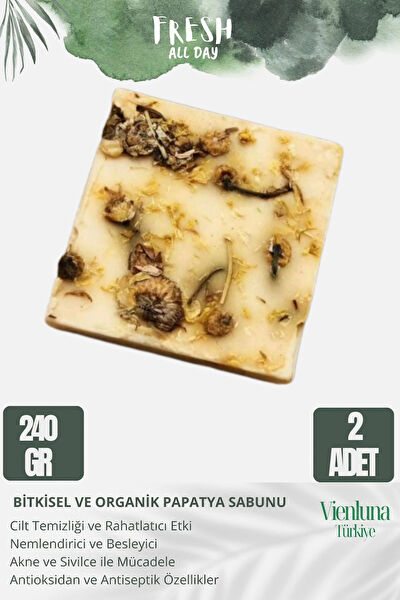 Vienluna Sabun