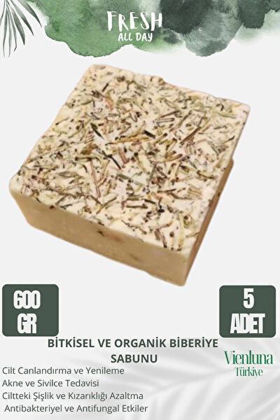 Vienluna Sabun