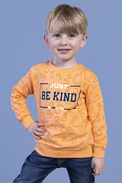 Toontoy Kids Erkek Çocuk Sweatshirt