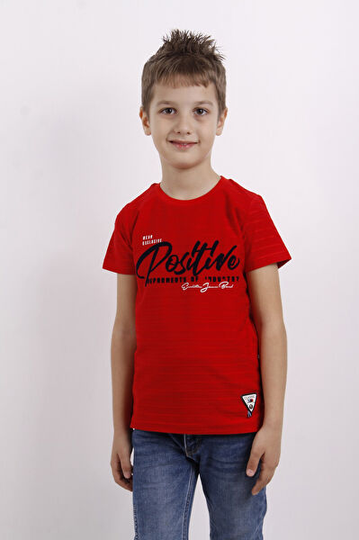 Toontoy Kids Erkek Çocuk Tişört