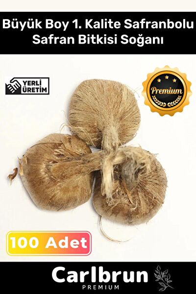 Carlburn İç Mekan Bitkileri