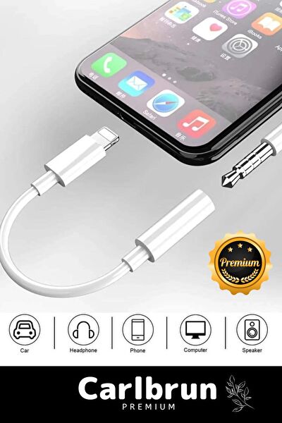 Carlburn Çevirici, Dönüştürücü