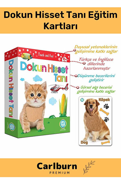 Carlburn Eğitici Oyuncaklar