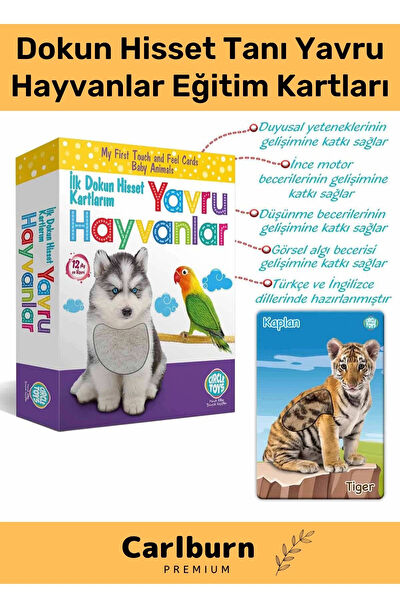 Carlburn Eğitici Oyuncaklar