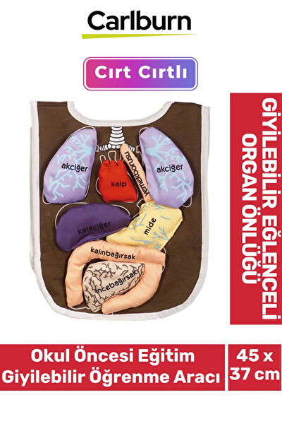 Carlburn Eğitici Oyuncaklar