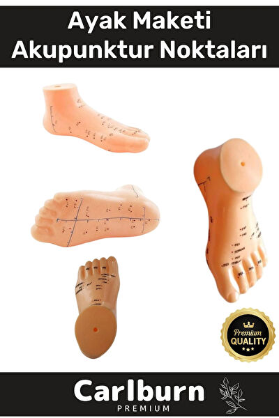 Carlburn Maket Aksesuarı