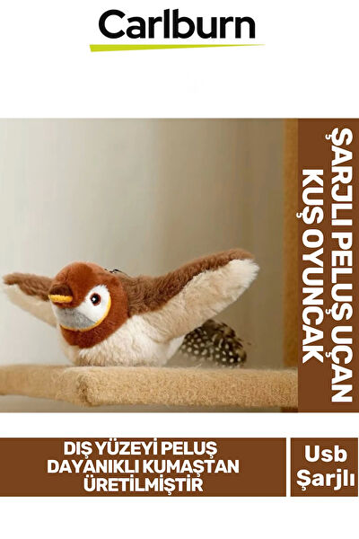 Carlburn Kedi Oyuncakları