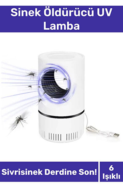 Carlburn Sinek Koruyucu