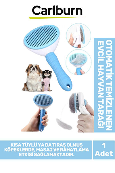 Carlburn Kedi Tarak, Fırça, Makas