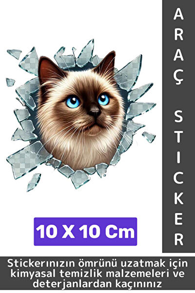 Wintoup Arma Sticker