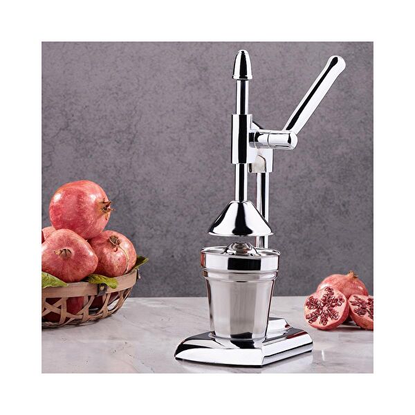 Aryildiz Narenciye Sıkacağı, Presi