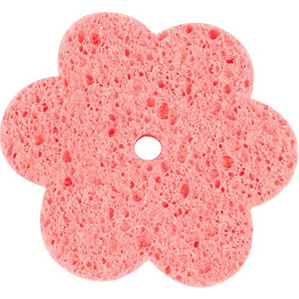 Bebedor Banyo Lifi, Süngeri