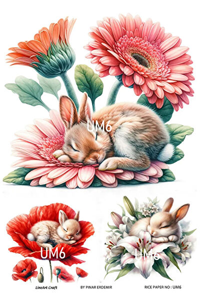 LineArt Yardımcı Sanat Ürünleri