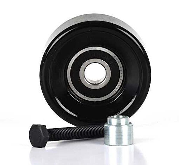 BSG Alternatör Rulmanı