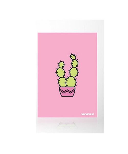 Mopak Defter, Ajanda