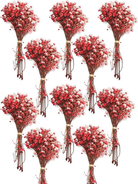 Nettenevime Yapay Çiçek, Meyve