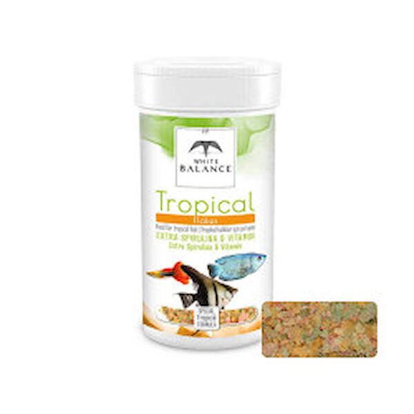 White Balance Balık Yemi