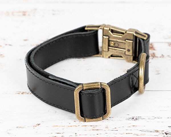 PLM Köpek Tasmaları