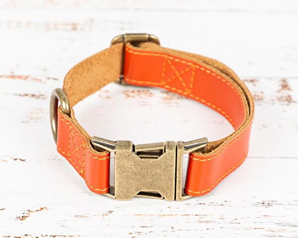 PLM Köpek Tasmaları