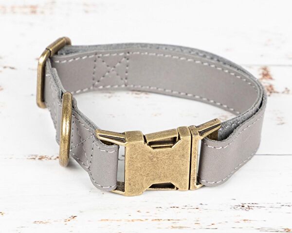 PLM Köpek Tasmaları