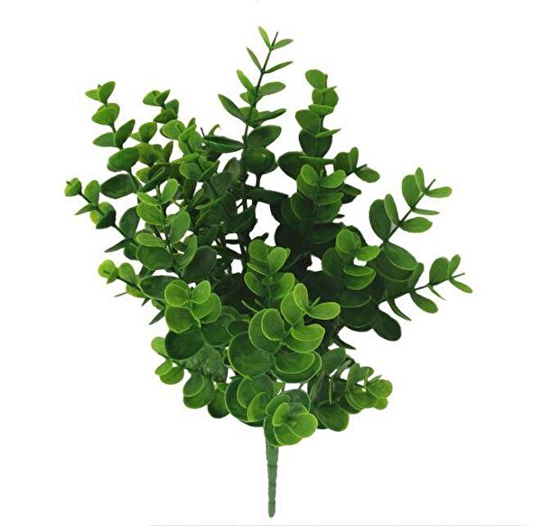 Nettenevime Yapay Çiçek, Meyve