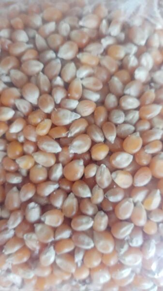 Otak Çiftçi Kadın Ürünleri