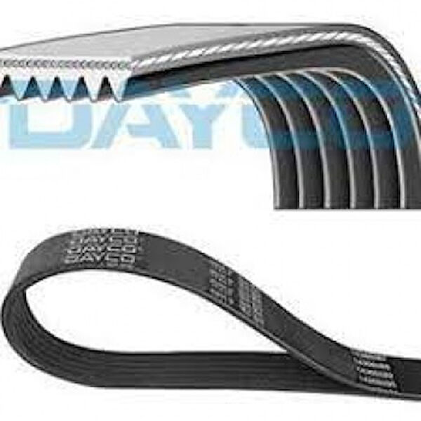 Dayco V Kayışı