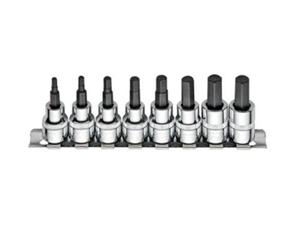 Ceta Alyan, Lokma Takımı