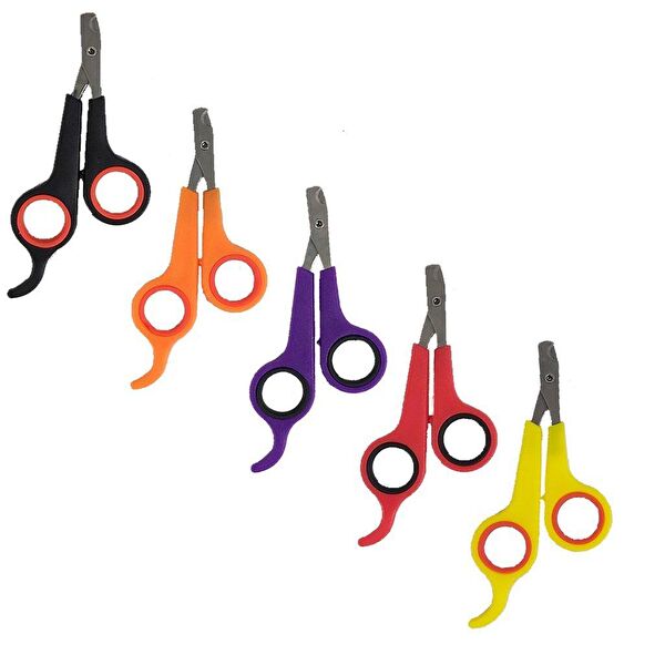 Asilsen Kedi Tarak, Fırça, Makas