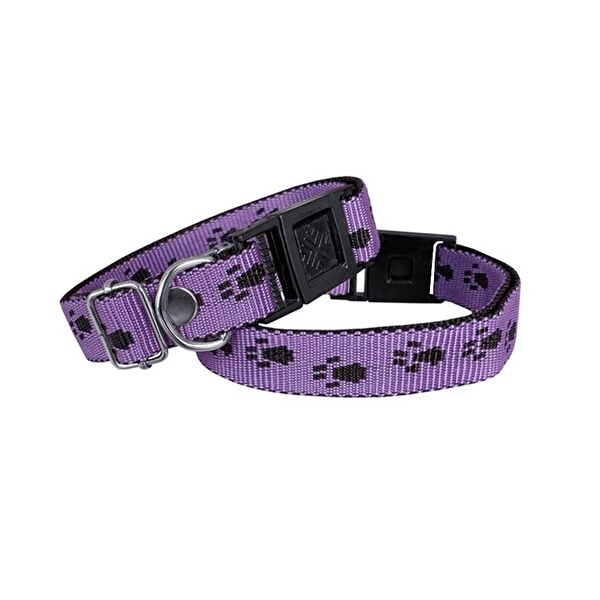 Markapet Köpek Tasmaları