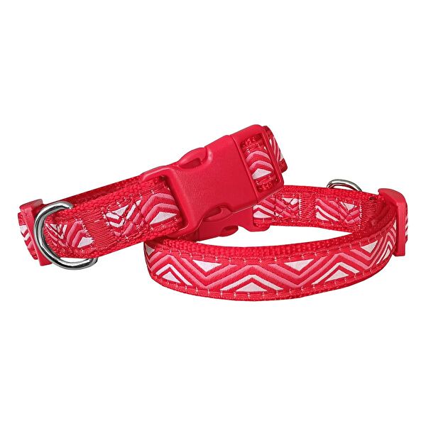 Markapet Köpek Tasmaları