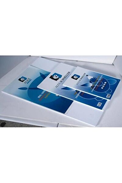 Alex Schoeller Resim Defteri, Kağıtları