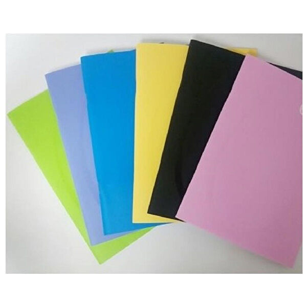 Alex Schoeller Defter, Ajanda