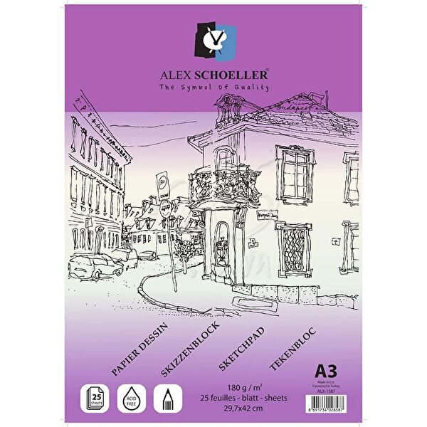 Alex Schoeller Resim Defteri, Kağıtları