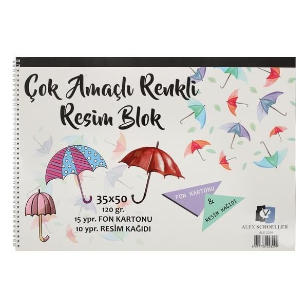 Alex Schoeller Resim Defteri, Kağıtları