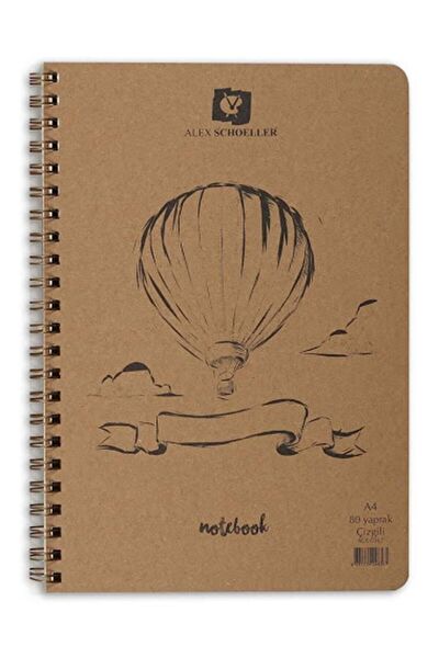 Alex Schoeller Defter, Ajanda
