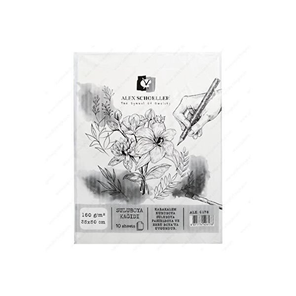 Alex Schoeller Resim Defteri, Kağıtları