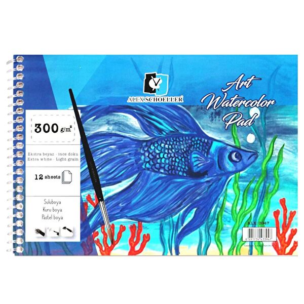 Alex Schoeller Resim Defteri, Kağıtları