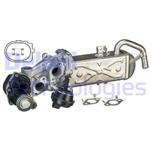 Delphi EGR Valfi