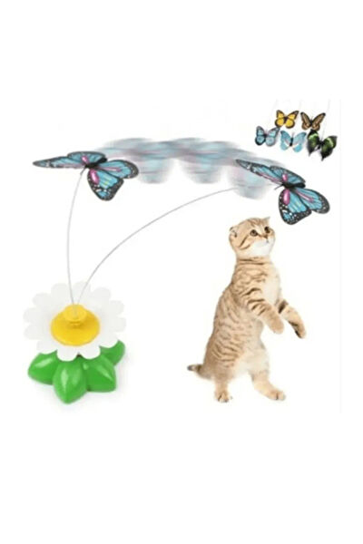 Pribor Kedi Oyuncakları