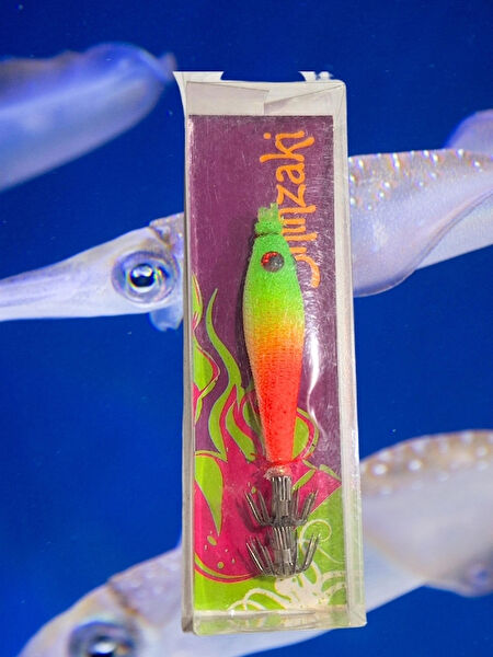 İşsevenler Olta İğnesi